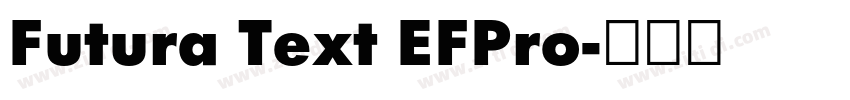 Futura Text EFPro字体转换